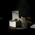 Still life. White vintage boxes, gilded feather on a wooden table. Dark background