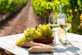 Still life with white wine, grapes and fresh bread in vineyards