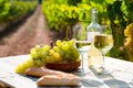 Still life with white wine, grapes and fresh bread in vineyards