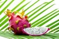 Still life of whole and sliced pitahaya on a green palm leaf