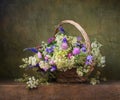 Still life with wild flowers Royalty Free Stock Photo