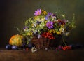 Still life with wild flowers in basket Royalty Free Stock Photo