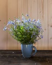 Still life with wild flowers, spring time Royalty Free Stock Photo