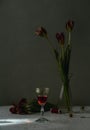 Still life with wilted tulips and a glass of red wine, closeup view Royalty Free Stock Photo