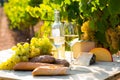 Still life with wine, cheese, grapes and fresh bread on table in vineyards Royalty Free Stock Photo