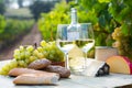 Still life with wine, cheese, grapes and fresh bread on table in vineyards Royalty Free Stock Photo