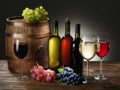 Still-life with wine, cheeses and fruits. Royalty Free Stock Photo