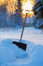 Still life of winter tool snow shovel in snow cold winter evening with sun setting through trees.