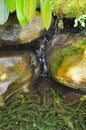 Still life woodlands image of small stream trickling between rocks on forest floor Royalty Free Stock Photo