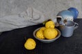 Still life with wrinkled apples, broken vase and poppy capsules