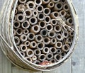 Still Plenty of Vacancy in this Bamboo Bee Hotel