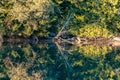 still pond in washington state forest habitat Royalty Free Stock Photo