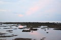 Still Sea Water during Low Tide at Littoral Zone - Pinkish Blue Clear Morning Sky with Reflection in Water - Natural Background