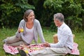 Still very much in love. a loving mature couple having a picnic on the grass. Royalty Free Stock Photo