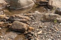 Still water puddle in Nenana River in Denali Park, AK, USA Royalty Free Stock Photo