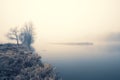 Still water and shore with leafless trees and fog obscure horizon; cool tones; copy space