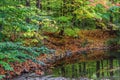 Still waters inside a beautiful forest during the fall, ON, Canada Royalty Free Stock Photo