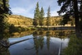 Still waters of Slough Creek, with reflections, Yellowstone National Park. Royalty Free Stock Photo