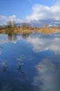 Still waters in winter (high water) Royalty Free Stock Photo