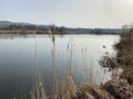 Stille Reuss or Stilli RÃÂ¼ss Stilli Ruess in the natural protection zone Aargau Reuss river plain / Naturschutzzone Auen Royalty Free Stock Photo