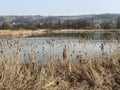 Stille Reuss or Stilli RÃÂ¼ss Stilli Ruess in the natural protection zone Aargau Reuss river plain / Naturschutzzone Auen Royalty Free Stock Photo