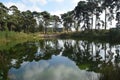 Stilled Pond reflection on a dutch heath Royalty Free Stock Photo