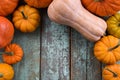 Stillife of bright orange pumpkins and butternut squashes on blu Royalty Free Stock Photo