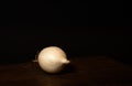 Stillife of an onion on a wooden table against a dark background