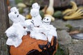 stilll life of Halloween decoration Royalty Free Stock Photo