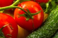 stilllife - tomatoes, cucumbers, lettuce Royalty Free Stock Photo