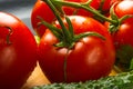 stilllife - tomatoes, cucumbers, lettuce Royalty Free Stock Photo