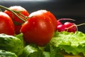 stilllife - tomatoes, cucumbers, lettuce Royalty Free Stock Photo