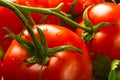 stilllife - tomatoes, cucumbers, lettuce Royalty Free Stock Photo