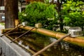 Stillness at the water basin at the entrance of a shrine in Japan for the riual Temizuya purification - 15