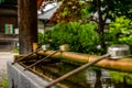 Stillness at the water basin at the entrance of a shrine in Japan for the riual Temizuya purification - 16