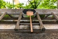 Stillness at the water basin at the entrance of a shrine in Japan for the riual Temizuya purification - 9