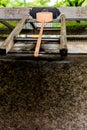 Stillness at the water basin at the entrance of a shrine in Japan for the riual Temizuya purification - 7