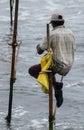 Stilt fisherman with his wooden rod facing back to the camera with his yellow pocket on the pole