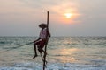 Stilt Fisherman Sri Lanka Traditional Fishing