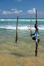 Stilt fisherman. Weligama. Sri Lanka