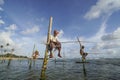 Stilt fishermen fishing in traditional way near Galle in Sri Lanka Royalty Free Stock Photo