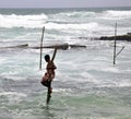 Stilt fishermen in Sri Lanka