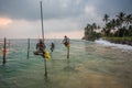 Stilt Fishermen Sri Lanka Traditional Fishing