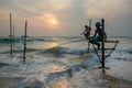 Stilt Fishermen Sri Lanka Traditional Fishing