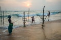 Stilt Fishermen Sri Lanka Traditional Fishing Royalty Free Stock Photo