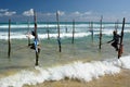 Stilt Fishermen. Weligama. Sri Lanka