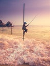 The Ancient Tradition Of Stilt FishinG In Galle, Sri Lanka Royalty Free Stock Photo