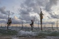 Fishmen on stilts in Galle, Sri Lanka Royalty Free Stock Photo