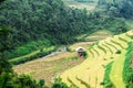 Stilt house on the rice terraces filed