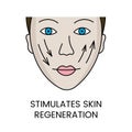 Stimulates skin regeneration in vector, girl face illustration with arrows
